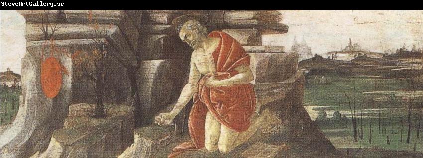 Sandro Botticelli St Jerome in Penitence
